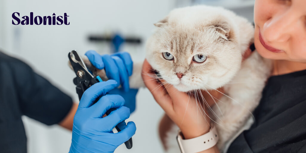 How to Start a Successful Mobile Pet Grooming Business in Dubai